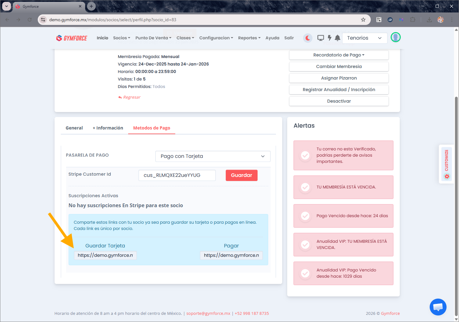 El socio no existe en Stripe