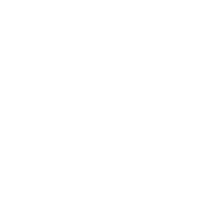Logo de Basewolfit Matriz