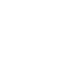Logo de Blackcargo Matriz