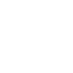 Logo de Bombusgym Matriz