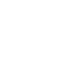 Logo de Brownsfire Matriz