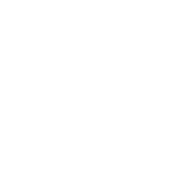 Logo de Bushidocdi Matriz