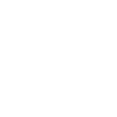 Logo de Crossfitkong Matriz
