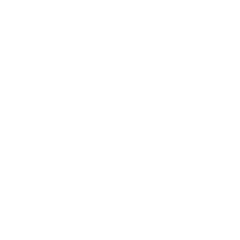 Logo de Crossfitsnake Matriz