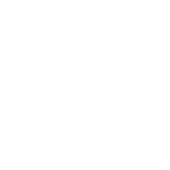 Logo de Dragones Matriz