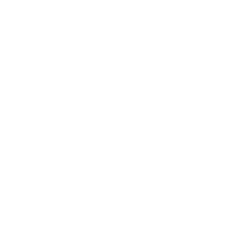 Logo de Insane Matriz