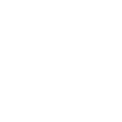 Logo de Insanefit Matriz