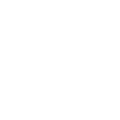 Logo de Leonesfit Matriz
