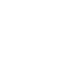 Logo de Levomotus Matriz