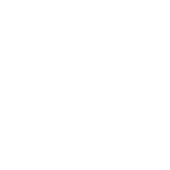 Logo de Lommfitness Matriz