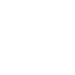 Logo de Lyon Matriz
