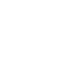 Logo de Onix Matriz