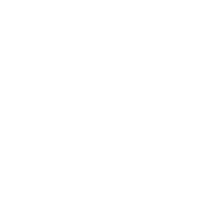 Logo de Pegasusgym Matriz