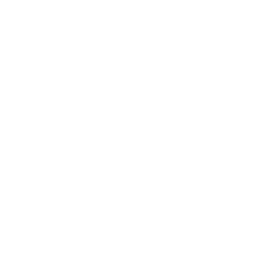 Logo de Phoenixfc Matriz