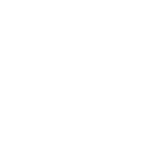 Logo de Playfitshy Matriz