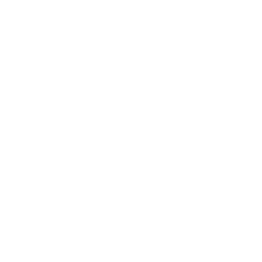 Logo de Reborn Matriz