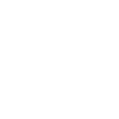 Logo de Roccoboxeo Matriz