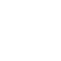 Logo de Sepleno Matriz