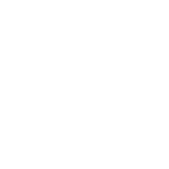 Logo de Style Matriz
