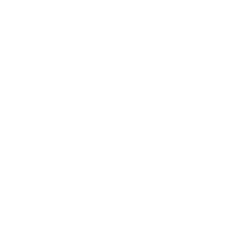 Logo de Vikingscf Matriz