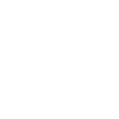 Logo de Virtus Matriz