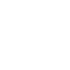 Logo de Vitallivefit Matriz
