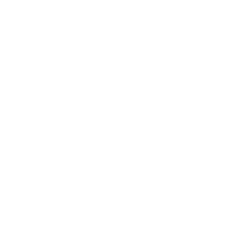 Logo de Wellnessfactory Matriz