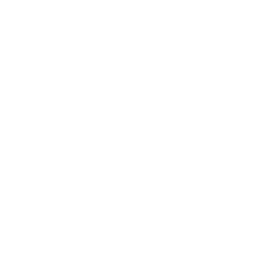 Logo de Xness Matriz
