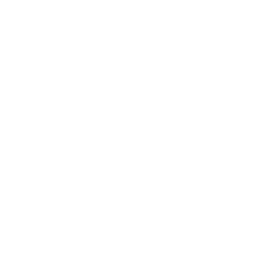 Logo de Zoom Matriz