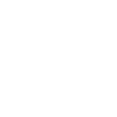 Logo de Zt Matriz